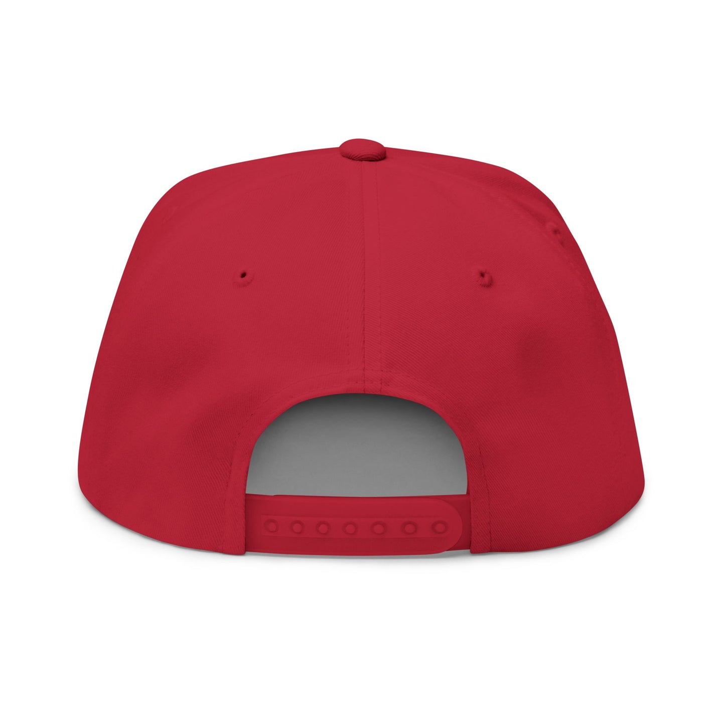 Swamp Gas Embroidered Flat Bill Cap | Trendy Snapback, Gifts for Friends, Festival Wear, Streetwear Style, Summer Accessory