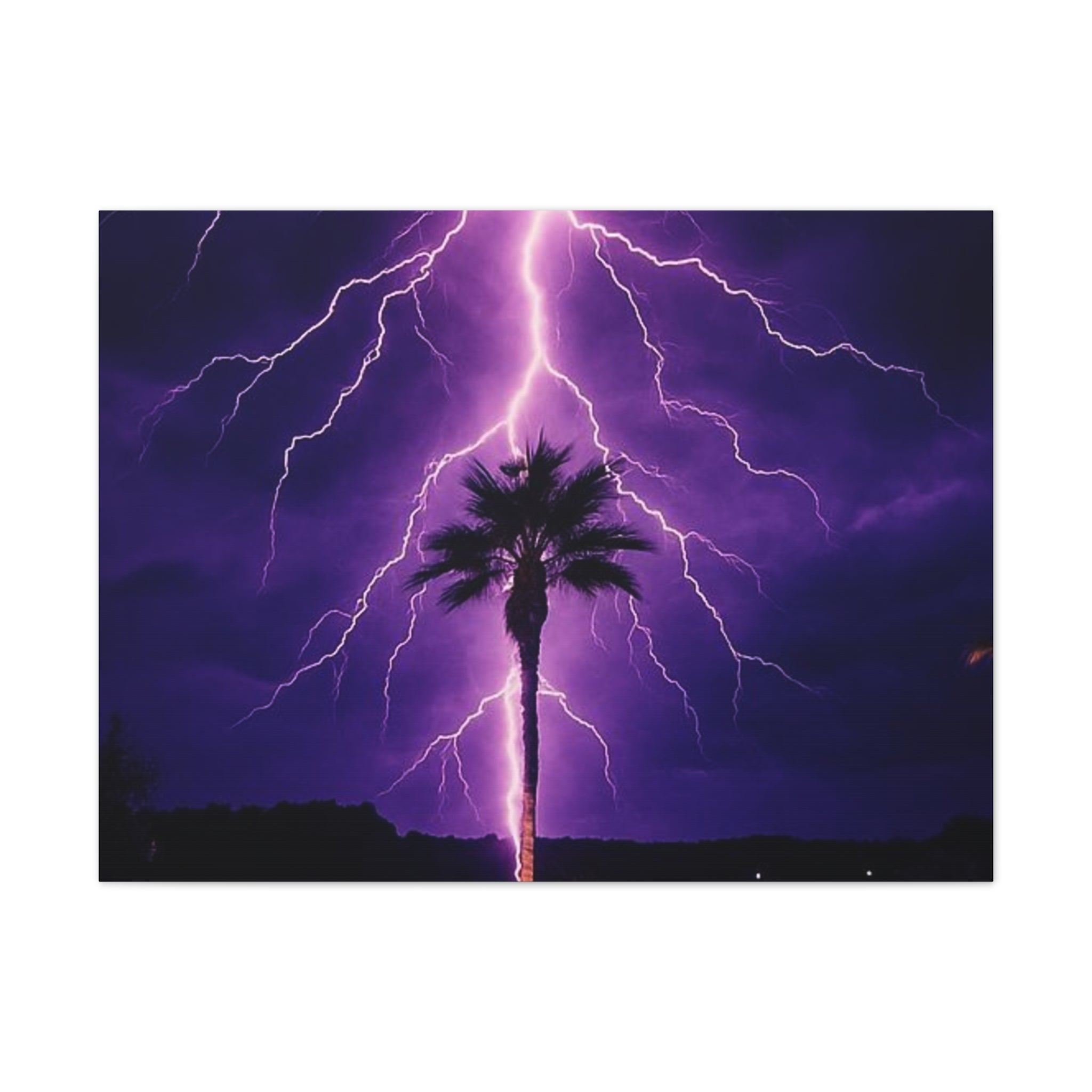 Purple Lightning Palm Tree Canvas Wall Art — Storm Photography Stretched Canvas