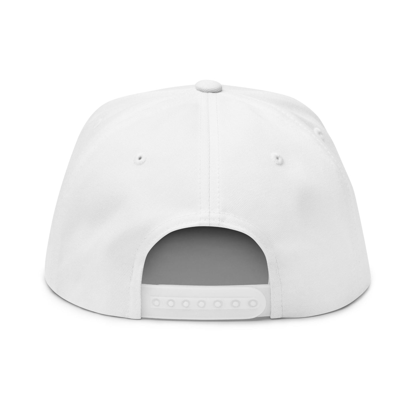 Swamp Gas Embroidered Flat Bill Cap | Trendy Snapback, Gifts for Friends, Festival Wear, Streetwear Style, Summer Accessory